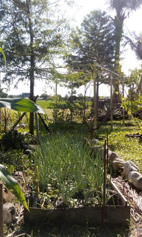 Hasayaki Homestay Sanxing Exterior photo